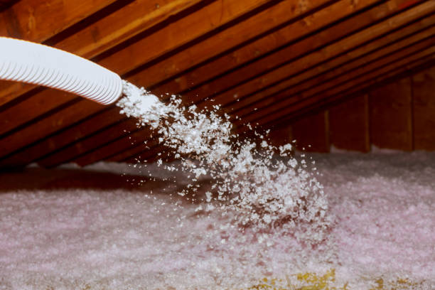 Best Specialized Insulation Services in Crownsville, MD