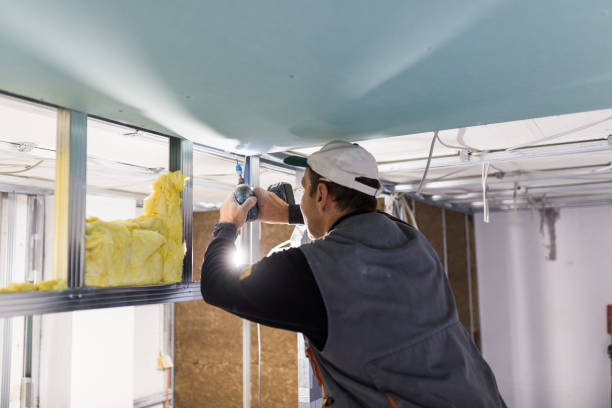 Best Eco-Friendly Insulation in Crownsville, MD