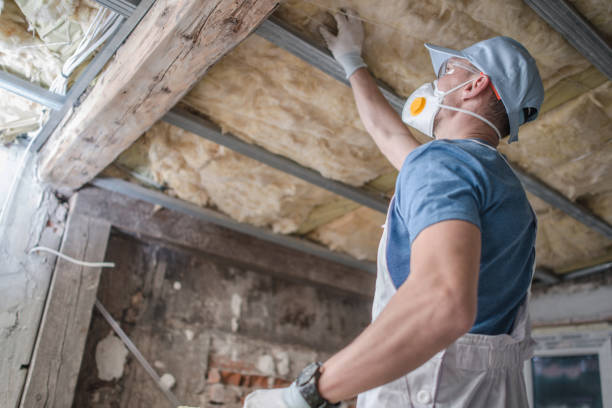 Best Insulation Maintenance and Repair in Crownsville, MD