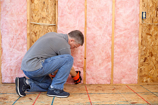 Best Eco-Friendly Insulation in Crownsville, MD
