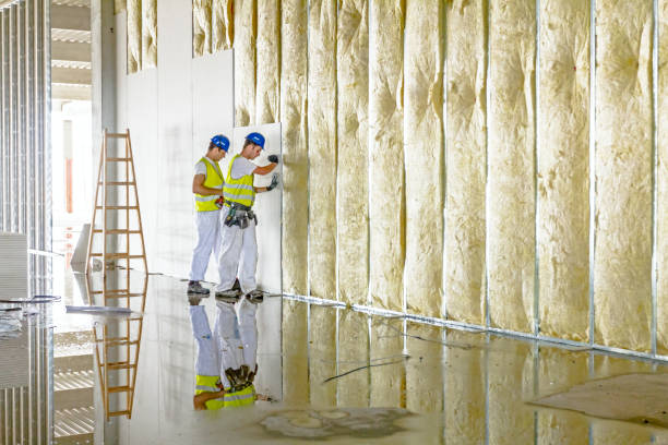 Professional Insulation Contractor in Crownsville, MD
